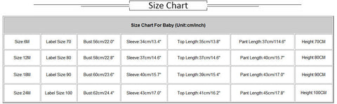 Image of Toddler Infant Baby Boy Girl Panda Blouse Tops+Pants 2PCS Outfits Clothes Set - mamyfull